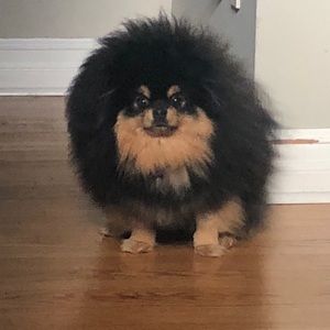 Meet your Posher, Andrea